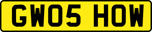 GW05HOW