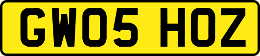 GW05HOZ