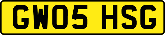 GW05HSG