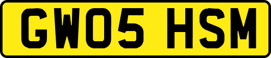 GW05HSM