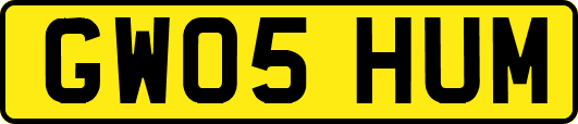 GW05HUM