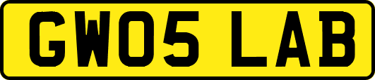 GW05LAB