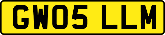 GW05LLM