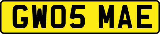 GW05MAE