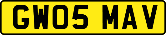 GW05MAV