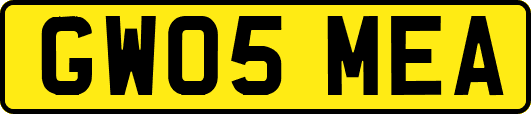 GW05MEA