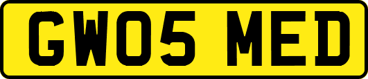 GW05MED