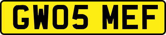 GW05MEF