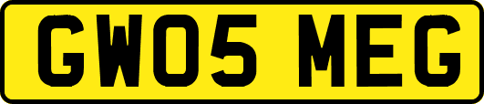GW05MEG