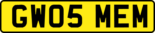GW05MEM
