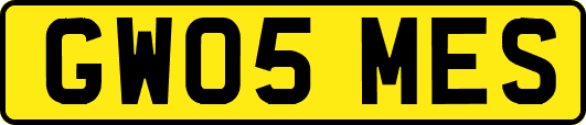 GW05MES