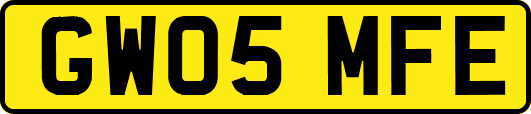 GW05MFE