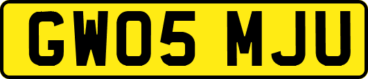 GW05MJU