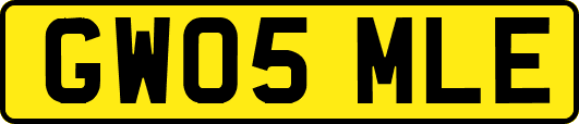 GW05MLE
