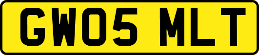 GW05MLT