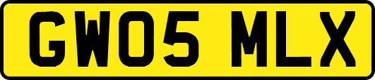 GW05MLX