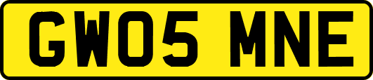 GW05MNE