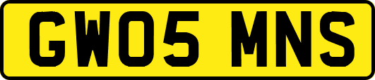 GW05MNS