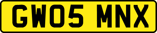 GW05MNX
