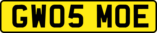 GW05MOE
