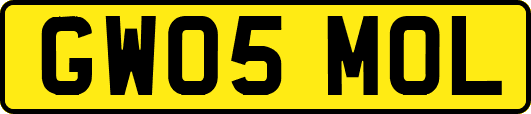 GW05MOL
