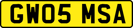 GW05MSA