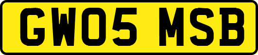 GW05MSB