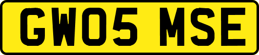 GW05MSE