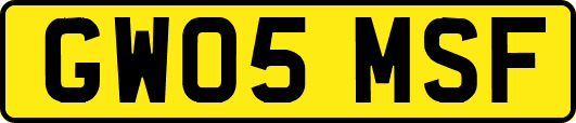 GW05MSF