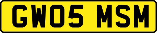 GW05MSM