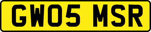 GW05MSR