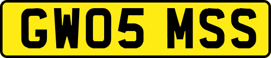 GW05MSS
