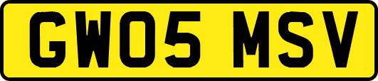 GW05MSV