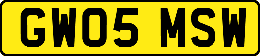 GW05MSW