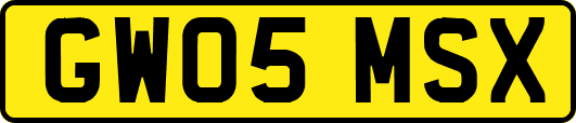 GW05MSX