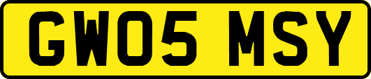GW05MSY