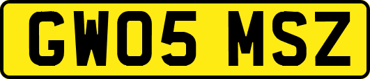 GW05MSZ