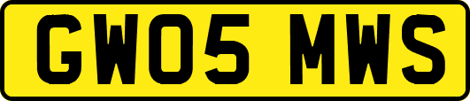 GW05MWS