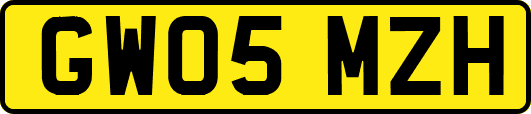 GW05MZH