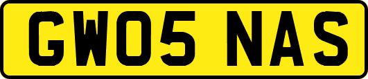 GW05NAS