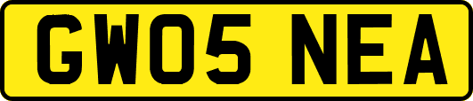 GW05NEA