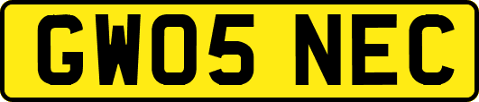 GW05NEC
