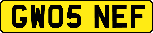 GW05NEF