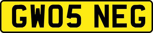 GW05NEG