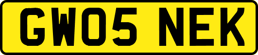 GW05NEK