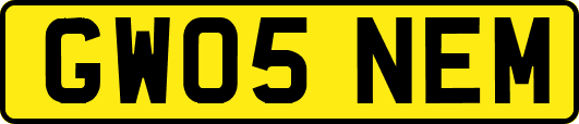 GW05NEM