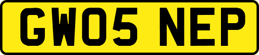 GW05NEP