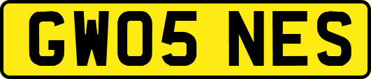 GW05NES