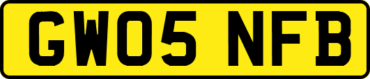 GW05NFB
