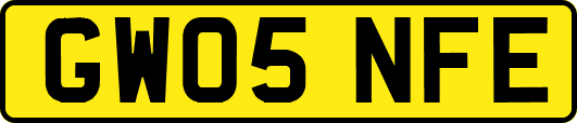 GW05NFE